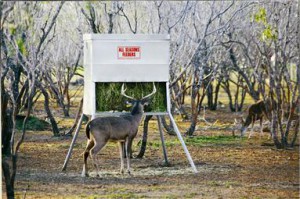 allseasonfeeder All Seasons Feeder from Bar None Country Store