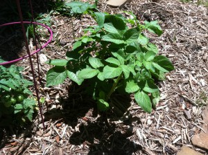 Photo May 13, 1 10 08 PM