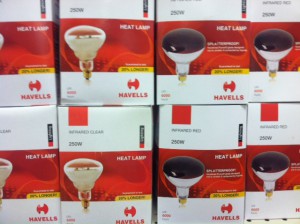 Heat lamp bulbs