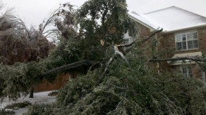 1467230_618103914913568_108893764_n