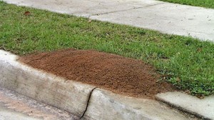 jviR75GylwukfJVovVIOLYbXq8YLkRhlB2PZSnQ5HU8