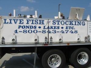 fish truck