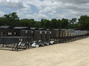 corn feeders all seasons corn feeders