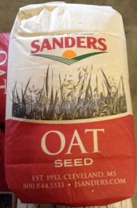 oats seed