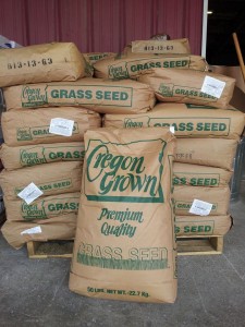 overseeding with ryegrass