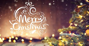 holiday hours merry christmas 2017