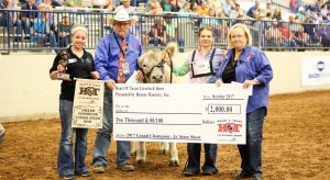 heart of texas livestock show fair and rodeo