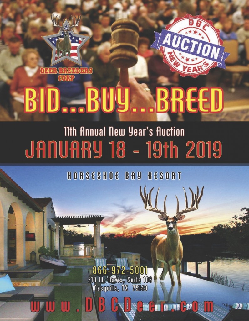 2019-DBC-NEW-YEARS-AUCTION flyer